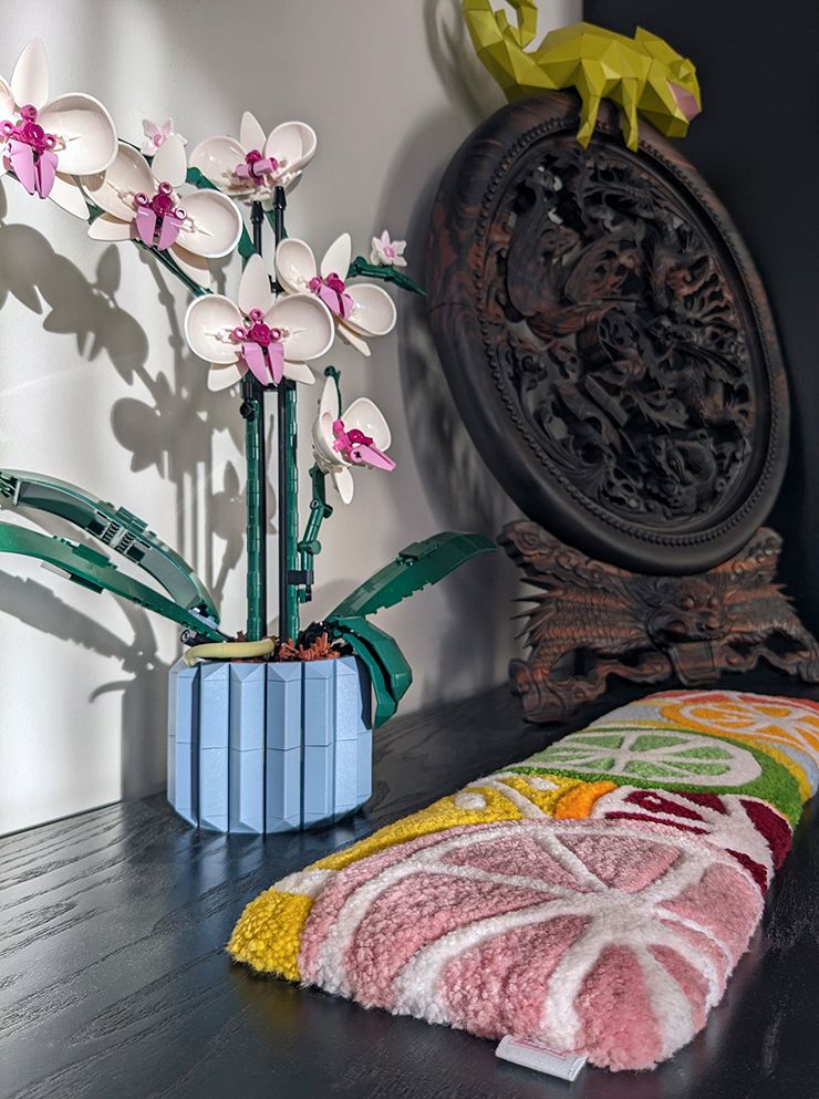 Mini tapis de rondelles de fruits