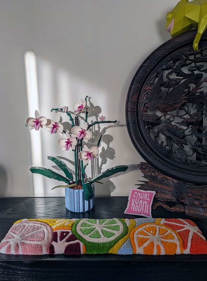 Mini tapis de rondelles de fruits