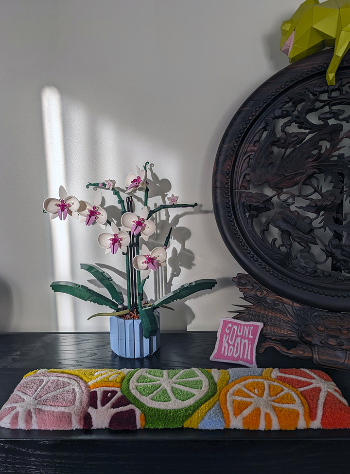 Mini tapis de rondelles de fruits