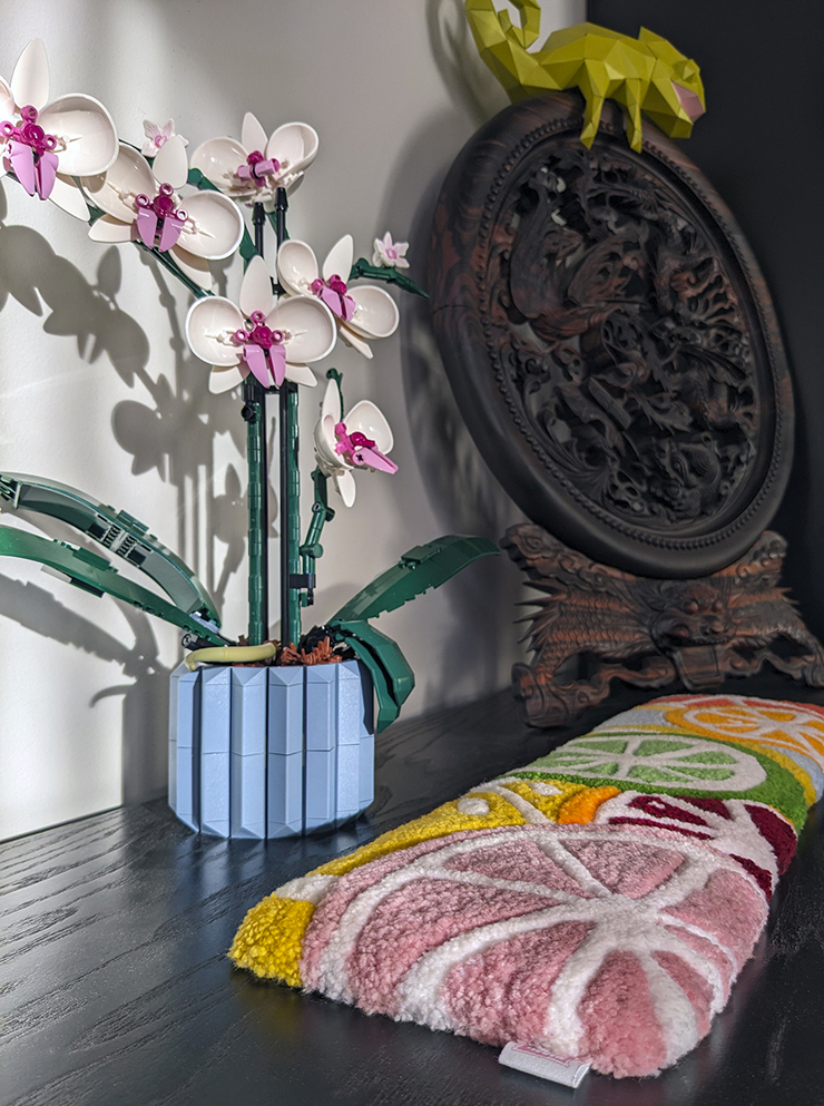 Mini tapis de rondelles de fruits